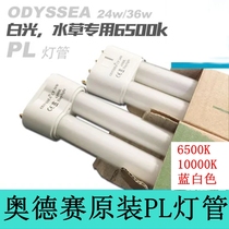 Original clothes ODYSSEA Odyssey PL lighting tube 4 pin 6500K 10000K white pipe blue pipe 18W 24W 36W