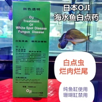 Japan OJI Light Seawater Ornamental Fish White Point Worm Rotten Meat Therapeutics Sea Cylinder White Point Sick and Rotten Body
