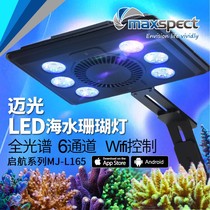 Maxspect mai Light Nautical Cylinder Coral LED Lights Full Spectrum Seawater WIFI App Control Sunrise Sunset