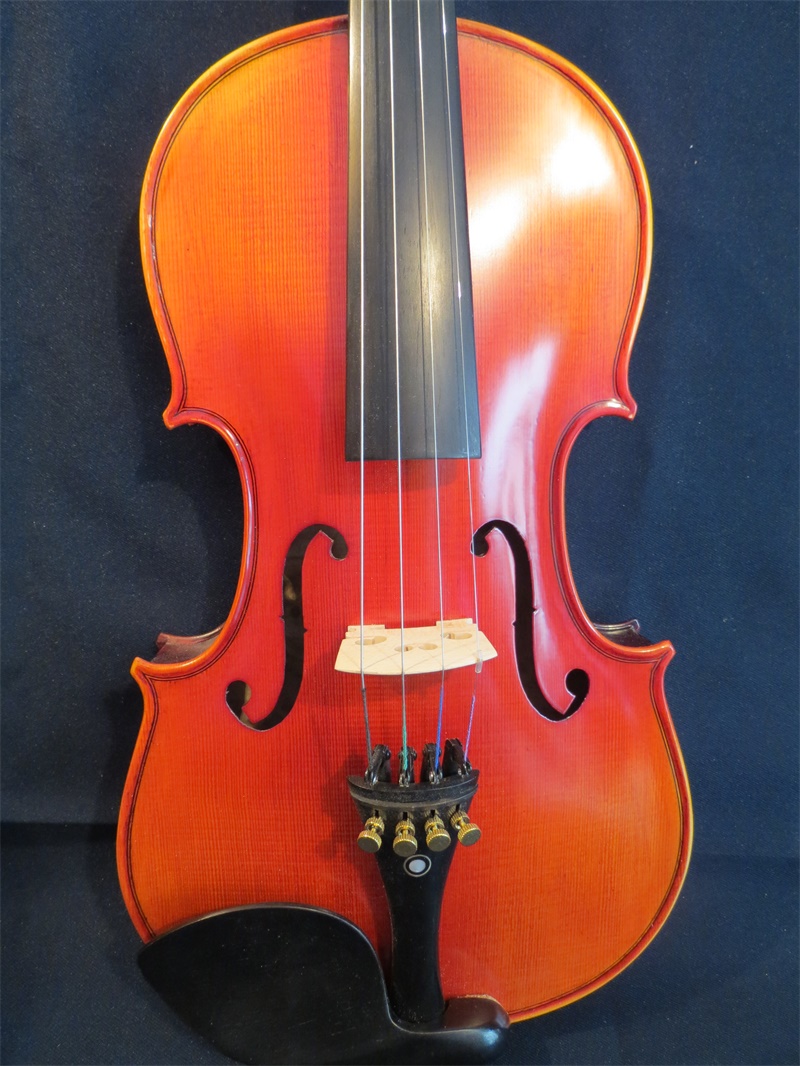 Wu Qiang Tưởng tượng sản xuất nhạc cụ, violin phong cách mắt chim Si, violin thủ công - Nhạc cụ phương Tây đàn taylor