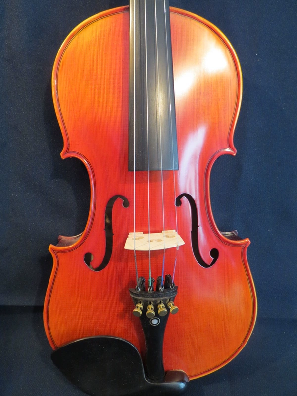 Wu Qiang Tưởng tượng sản xuất nhạc cụ, violin phong cách mắt chim Si, violin thủ công - Nhạc cụ phương Tây