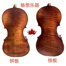 Imagination Musical Instruments Adult and Childrens Performance Grade Cello Handmade Solid Wood Good Tuning Before Shipment SF Express