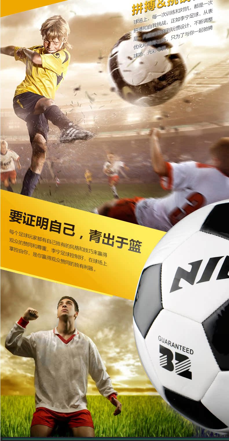 Ballon de foot - Ref 7266 Image 13