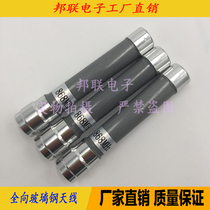 LoRa868M waterproof antenna number transmission antenna N head outdoor waterproof antenna omnidirectional GRP antenna 10CM