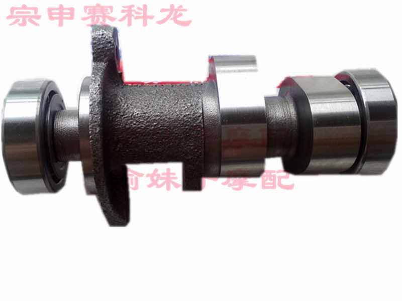 Zongshen Original Saikelong RX3 camshaft ZS250GY-3 NC250 ZS250GS-2 camshaft