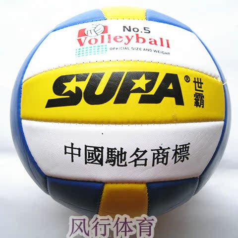 Ballon de volley - Ref 2011545 Image 4
