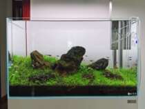 Letter fish suspension tank aquarium super white fish tank custom custom-made living room landscaping 45 edge glued aquatic plant tortoise