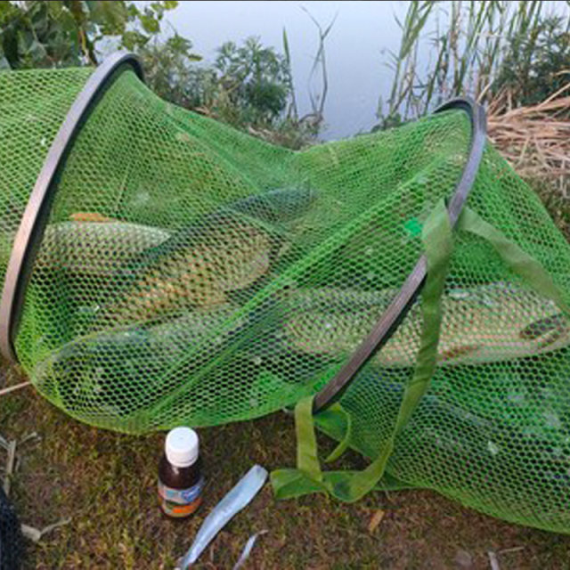 Grass carp opening luring fishing medicine black pit grass carp bait food attractant wild fishing nest material fishing formula fishing supplies