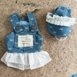 Home Day Dream Весенне-летняя новая универсальная джинсовая юбка для домашних животных во французском стиле ретро, мальтийская одежда в стиле йоркширского кота