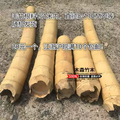 Special offer moso bamboo root material Bamboo Bamboo pole thick bamboo pole carving DIY bamboo root boiled anti-corrosion decorative bamboo pole