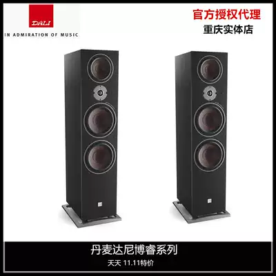 DALI Dani OBERON9 Borui No 9 passive audio Home floor-standing 2 0 subwoofer theater speaker