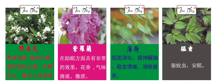 Chất lỏng tự nhiên mới gây sốc năm kilogam Pháp bổ sung KTV khách sạn nhà xe hương liệu tinh dầu - Sản phẩm hương liệu hương vòng đuổi muỗi