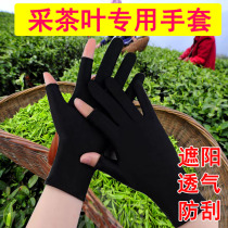 Gloves for men and women special sun protection gloves for tea picking thin wear-resistant two-fingered breathable for tea picking work in summer