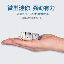 12v water pump 24v Chengzhi water pump mini self-priming pump small diaphragm pump brush no suction water flow micro pump small high