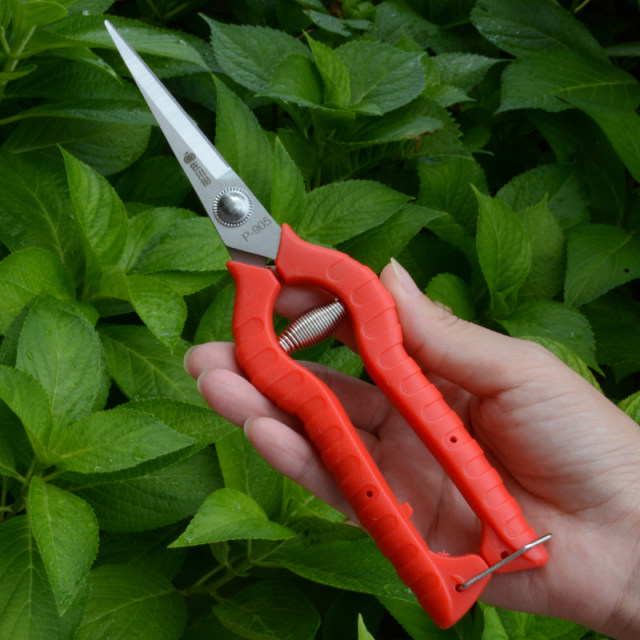 Sagawada ການເຮັດສວນ pruning ຫມາກມີດຕັດຫມາກມີດຕັດຫມາກພິກ pepper ມີດຕັດ wolfberry ເຄື່ອງມືເກັບຫມາກໄມ້ແລະຜັກມີດຕັດດອກມີດຕັດ