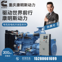 300KW Chongqing Cummins NTA855-G2A diesel generator set automatic hotel hospital backup quark