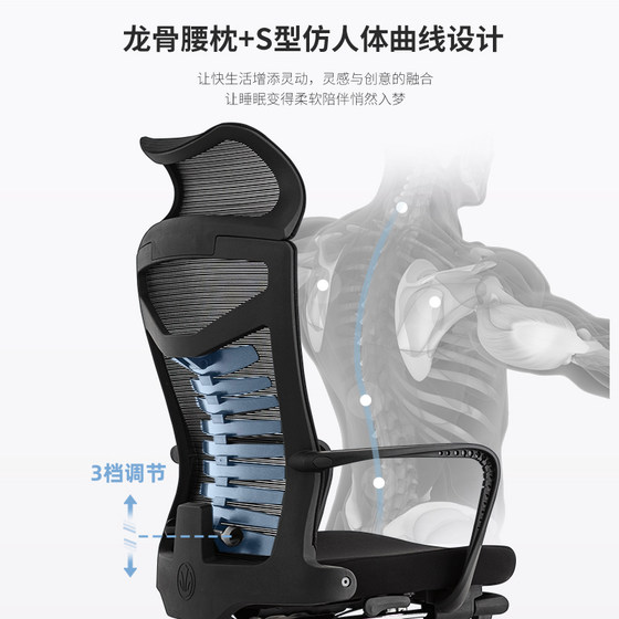 Ergonomic chair, comfortable reclining lunch break chair, office seat, lifting computer chair, home sedentary breathable gaming chair