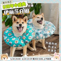 Elizabeth collar dog sterilization wound infection cat anti-scratch anti-bite anti-licking dog neck collar Shiba Inu special bean chai