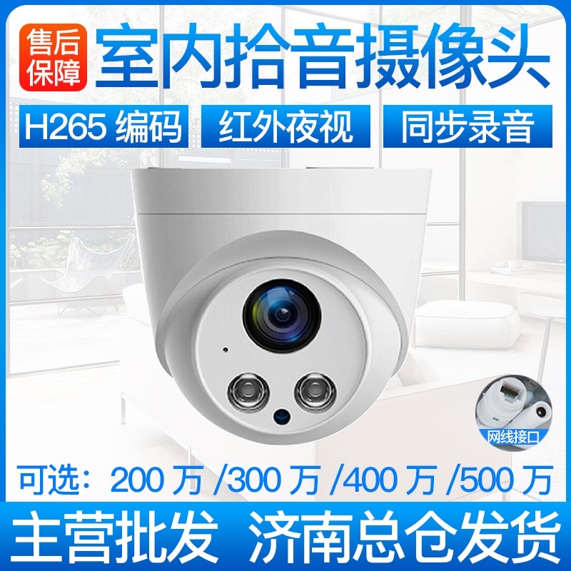 2 million hemispherical network high-definition camera head with built-in pickup monitoring