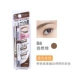 B6 Natural Brown