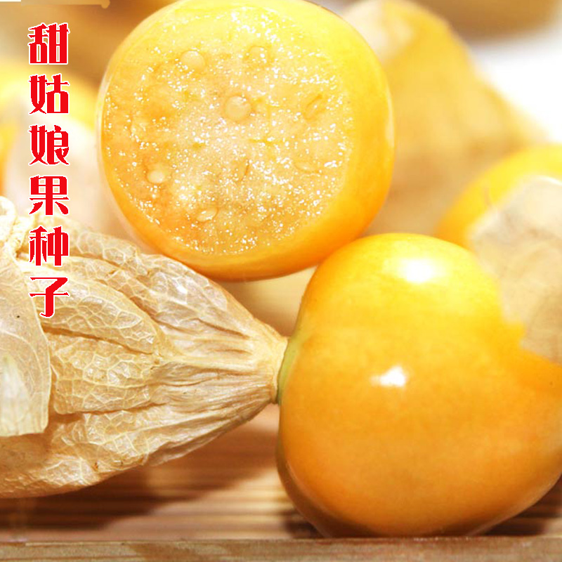 Girl seeds seed yellow mushroom fruit seedlings red lantern fruit pot fruit girl seed seed seed