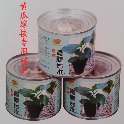 Cucumber grafting special rootstock seeds Japanese green Tengtai wood with good affinity and strong disease resistance about 600 grains