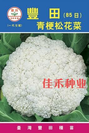 Green stem pine cauliflower seeds soft cauliflower organic cabbage cauliflower seeds sowing vegetables in autumn