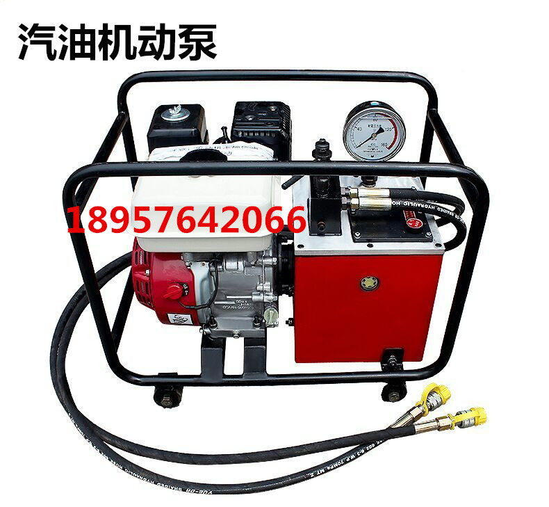 Ultra-high pressure gasoline hydraulic pump gasoline motor pump wire presses small double-loop motor pump