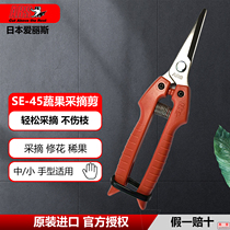 Japan imports Alice ARS picking shears SE-45 fruit picking shears thinning fruit shears flower branch shears flower shears gardening shears