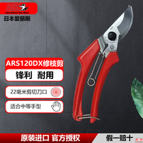 Japan Alice pruning shears ars120DX imported thick branch shears garden gardening scissors flower branch shears fruit branch shears