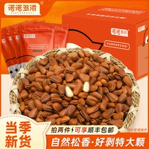 Nuts and pine nuts 2024 new goods non-special extra large Northeast opening pine nut flagship store official pine nuts individually packaged