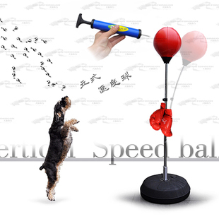 Golo vertical tumbler Adult children boxing ball Speed ball Home fitness sand bag Suction cup vent ball