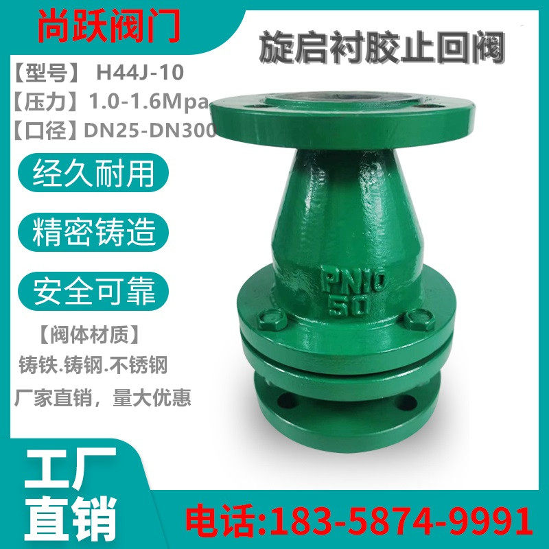 Cast iron cast steel H44J-10 rubber-lined check valve (swing check valve) check valve DN25 32 65 80