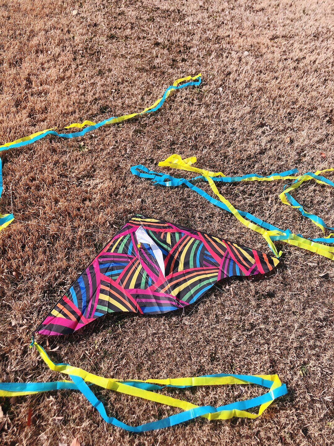 воздушный змей 布质零基础也可以放！便携风筝易飞轻便儿童户外玩具游戏踏青礼物 OTHER