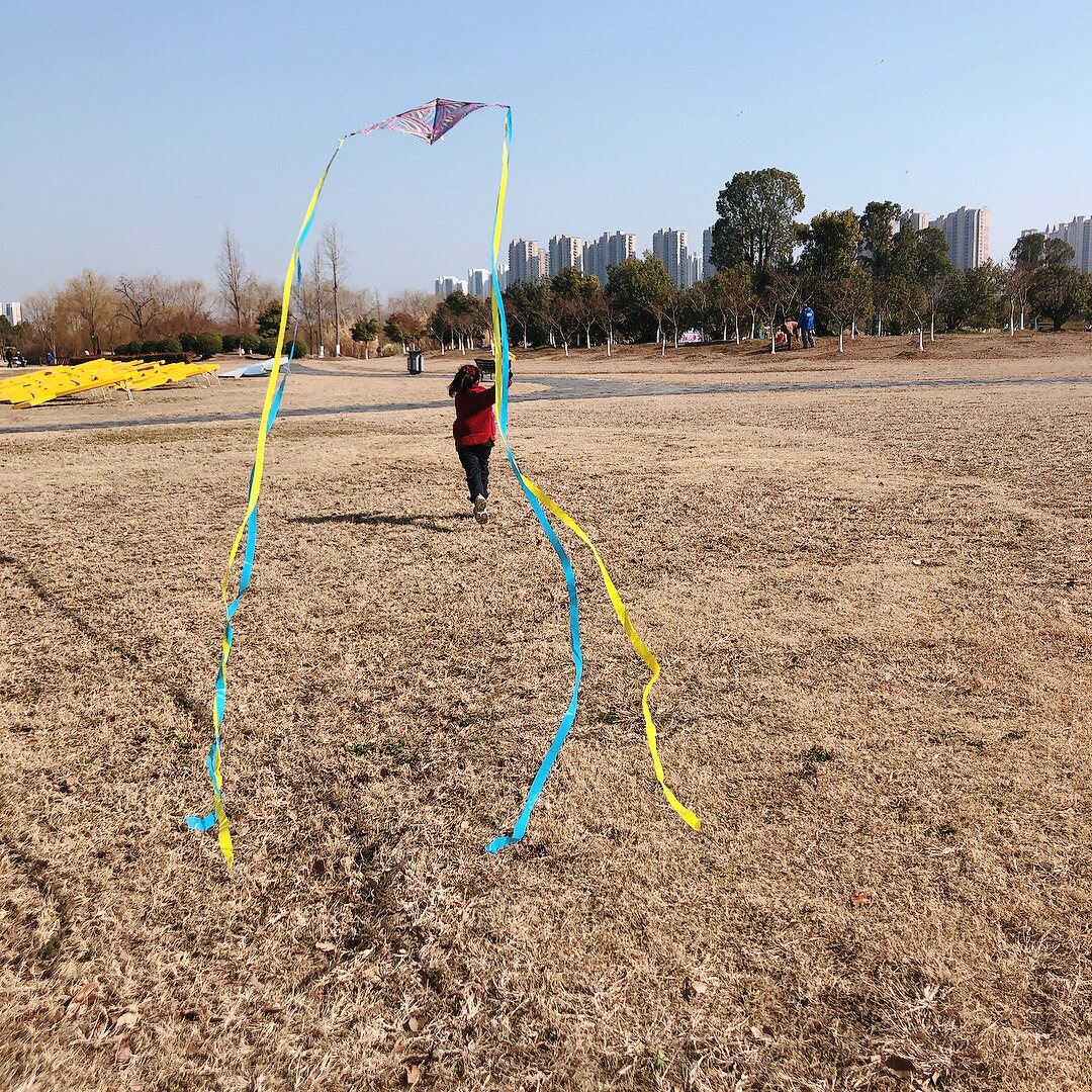 воздушный змей 布质零基础也可以放！便携风筝易飞轻便儿童户外玩具游戏踏青礼物 OTHER