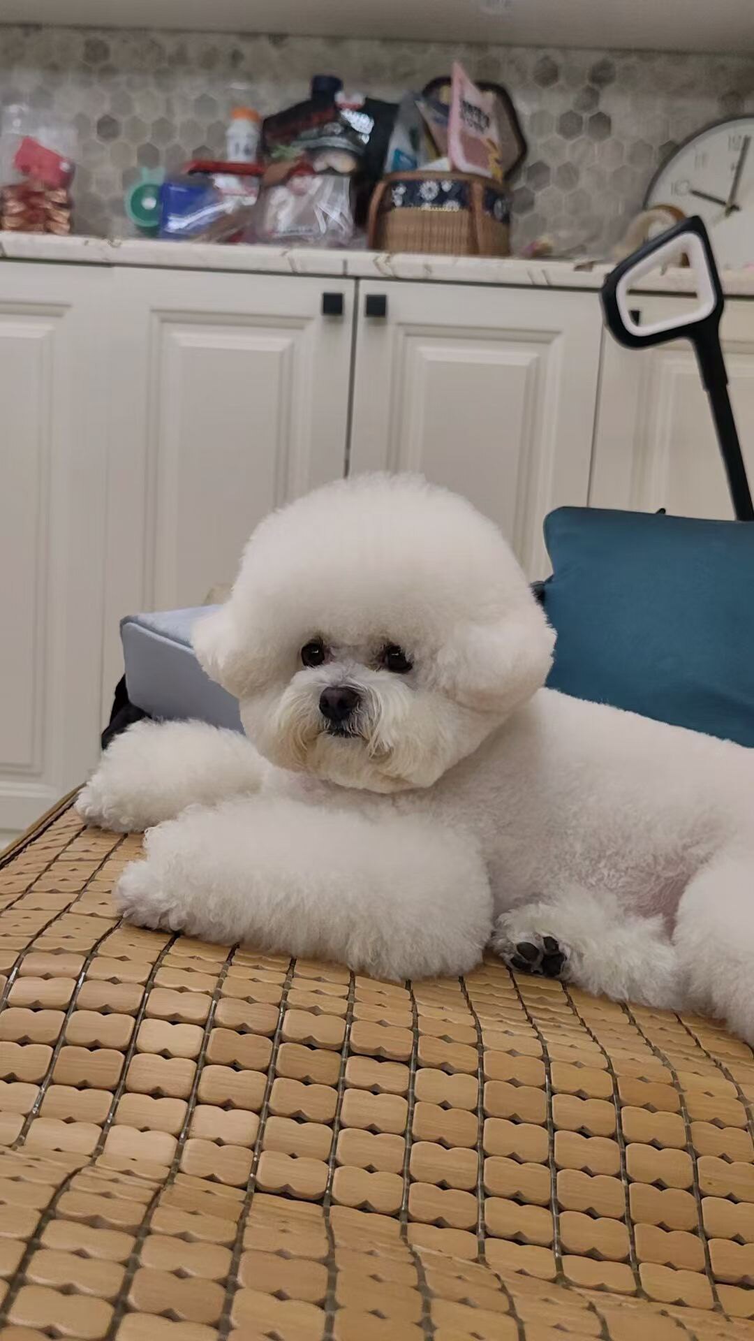 HOLA CHICA 巴塞店