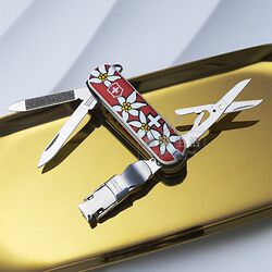 Victorinox Swiss Army Knife Grooming Companion 65mm Multifunctional Sergeant's Knife with Nail Clippers ມີດຕັດຂະຫນາດນ້ອຍ