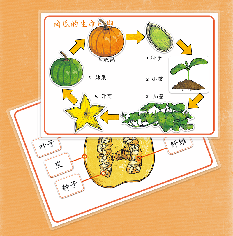 小七贝萌