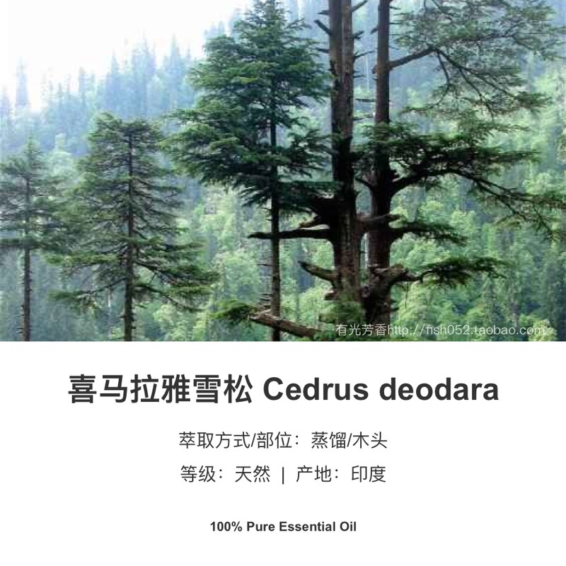 Lightly Fragrant Indian Organic Himalayan Cedar Single Essential Oil 30ml, Raw Material Packaging, Soothes Body and Mind