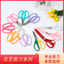 Professional Floral Scissors Floriste fleur de fleurs fleurs arrangement floral fleur Spurs pruners pruners pruners Home gardening Scissors Outils