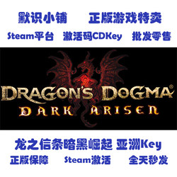 Steam Dragon's Dogma: Dark Arisen China Region Cd Key