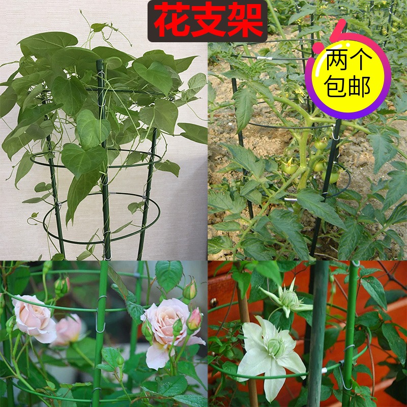 Fuji Monthly Climbing Vine Pillar Flower Railway Line Climbing Range Range Cover Monthly Pot Artistic Iron Ring Plant Steps
