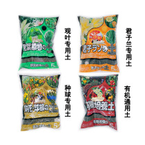 Export Japan View Leaf Universal Flower Multimeat Turquoi Turquoi Chaetian Currant Seed Polo Potted Organic Nutritious Earth