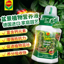 COMPO Germany Import Family Gardening Banyan Tree Iron Tree Liquid Water Soluble Fertilizer Bonsai Plant Special Nutrient Solution