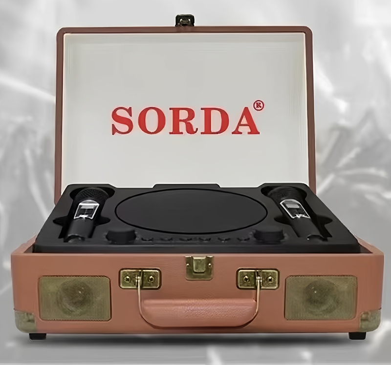 Sd2109 Retro Wooden Box Outdoor Portable Bluetooth Speaker Wireless Dual-Microphone Karaoke All-In-One Machine for Home Karaoke