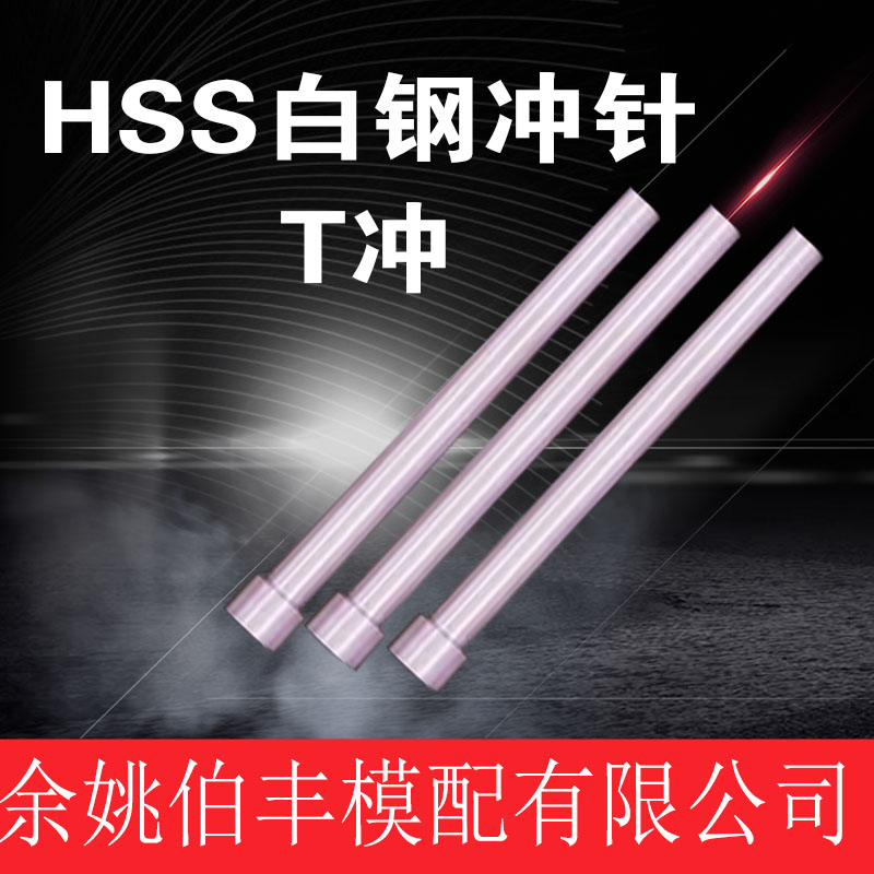 Mold Accessories Manufacturer Direct Marketing Hardware Moduli T Punch Straight Body Punch Pin A flush white steel punching needle HSS D7-D9