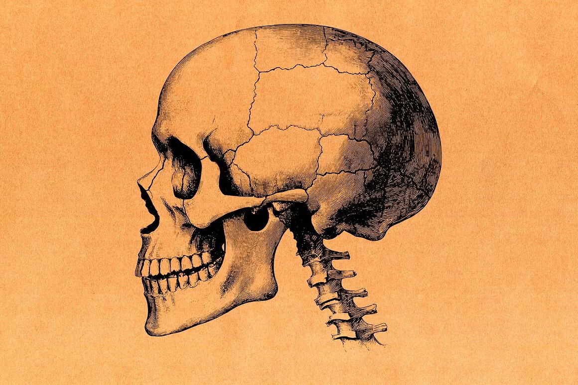 08.jpg