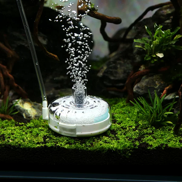 Товары от 明洋水族馆