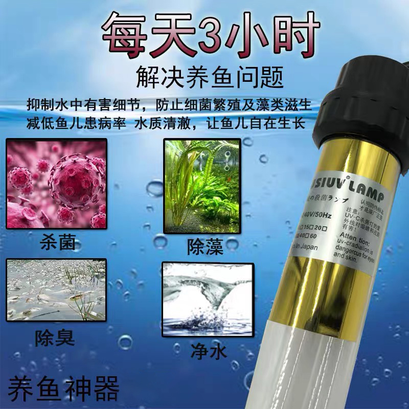 锦鲤鱼池过滤神器：细菌屋毛刷藤棉+杀菌灯全解析