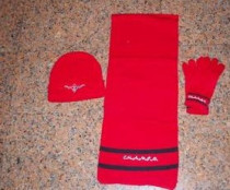 KFC CHAMPS prize scarf gloves and hat three-piece set new